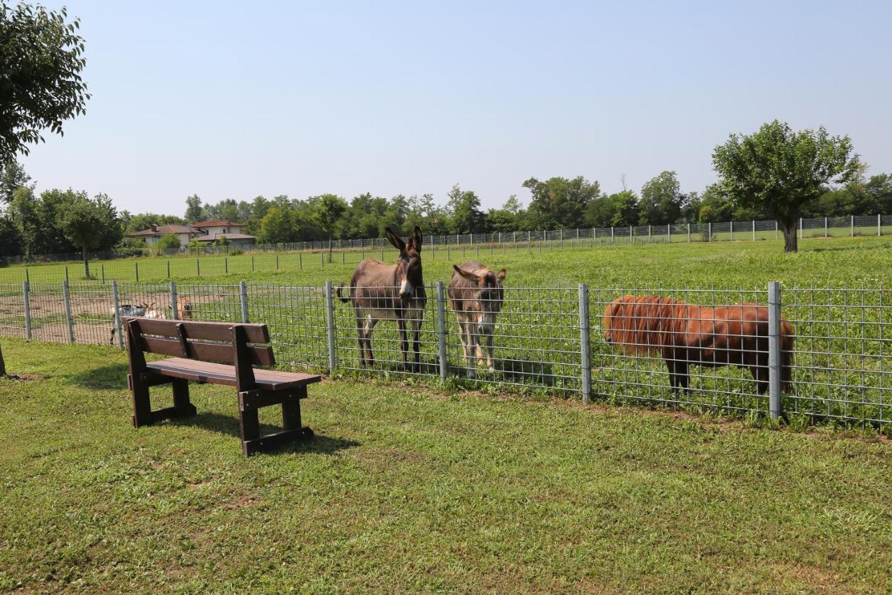 Azienda Agrituristica Ai Prai Castello Di Godego
