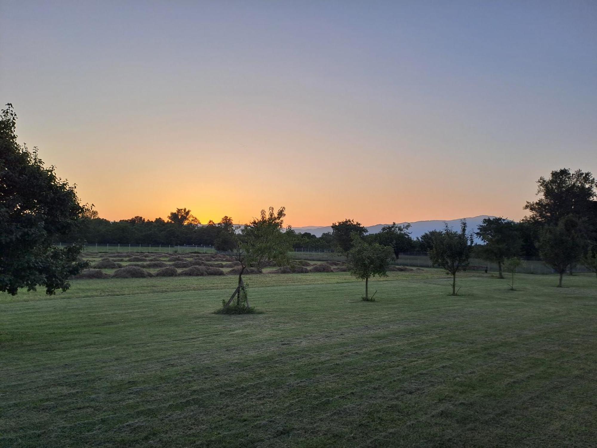 Bed & Breakfast Azienda Agrituristica Ai Prai Castello Di Godego